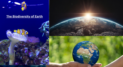 The Biodiversity of Earth