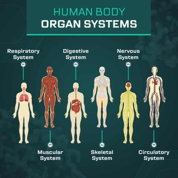 200 Fascinating Facts About Human Biology You Must Know